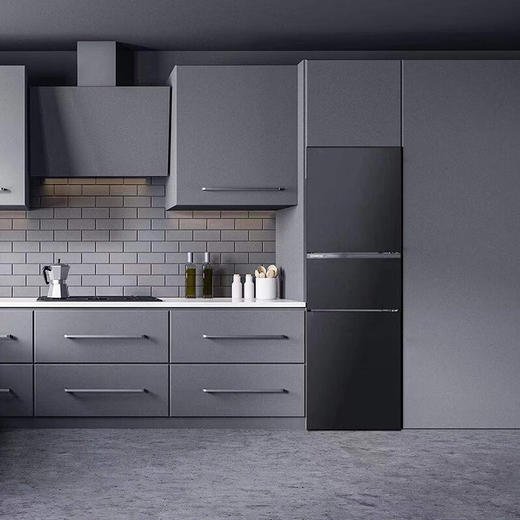 西门子/冰箱/KG28US257C 商品图3