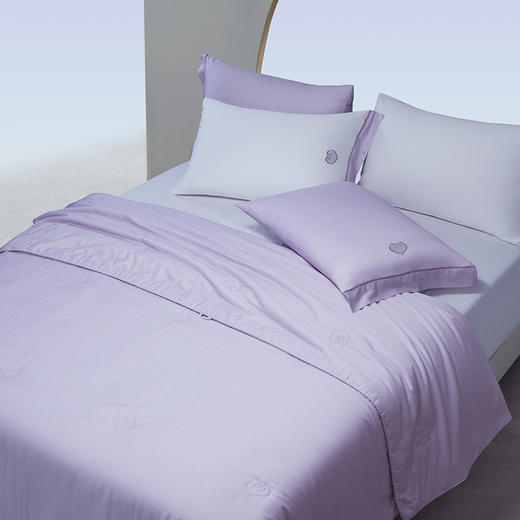 梦洁 天丝棉冰百里香夏被：钰如意（暮山紫） 商品图2