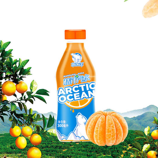 北冰洋  PET桔汁汽水300ml*24瓶 商品图0