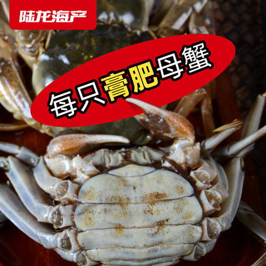8068陆龙兄弟600g酱河蟹 商品图7