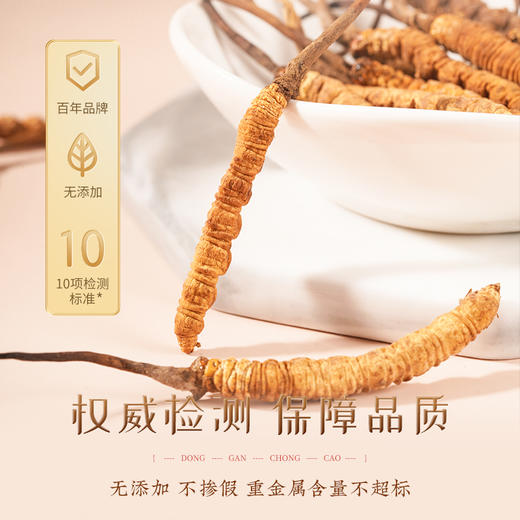 胡庆余堂 冬虫夏草（地号）10克/20克礼盒装 商品图6
