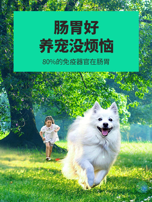 小宠肠胃宝5g*10包装【效期最新的】镇店之宝 软便、拉稀、呕吐、抗应激、食欲不振 商品图5