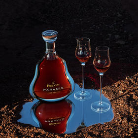轩尼诗（Hennessy） 百乐廷 干邑白兰地 法国进口洋酒 700ml