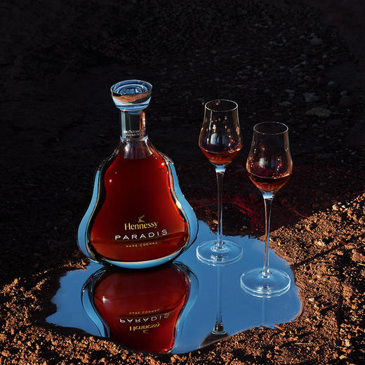 轩尼诗（Hennessy） 百乐廷 干邑白兰地 法国进口洋酒 700ml 商品图0