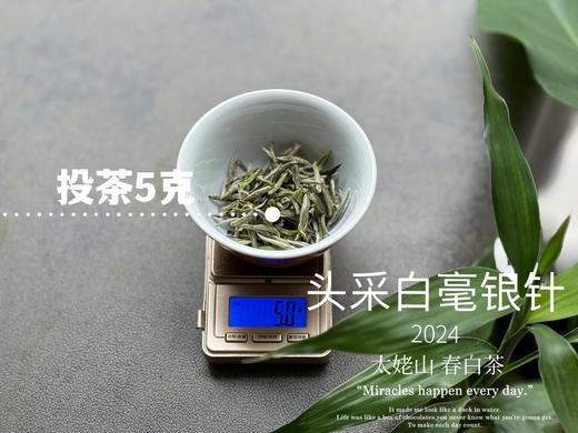 【2024春茶来了】2024头采白毫银针，鲜、嫩、爽、滑，怎一个“嫩”字了得？ 商品图7