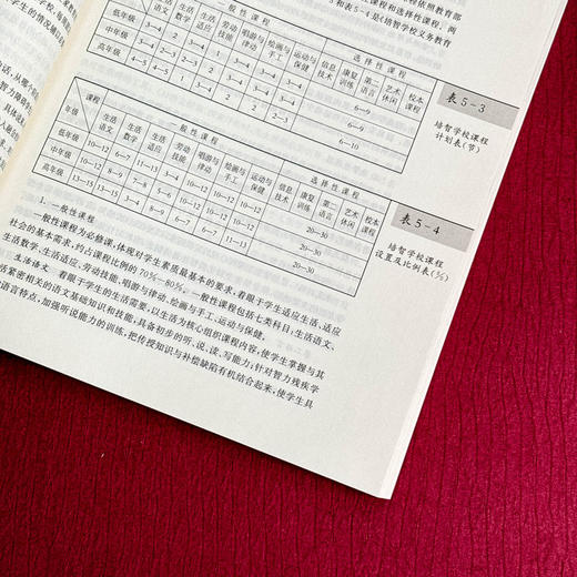 特殊教育概论 第二版 教师教育精品教材 商品图10