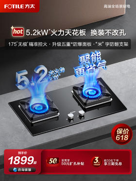 方太燃气灶5.2Kw猛火灶 台嵌两用 02-TH29B可调节底盘家用换装免扩孔 天然气液化气煤气灶双灶五重防爆面板官方正品