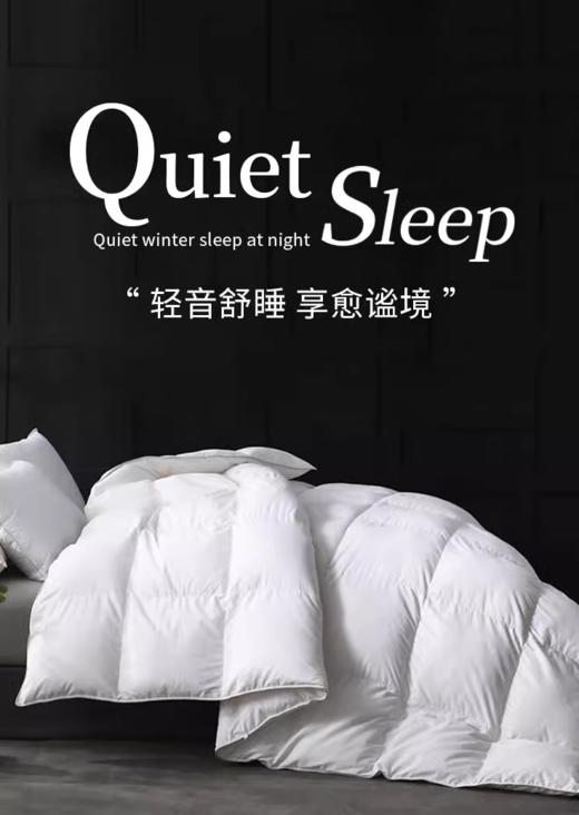 星级酒店羽绒被95白鹅绒鹅绒被被子被芯春秋被四季被冬被 商品图1