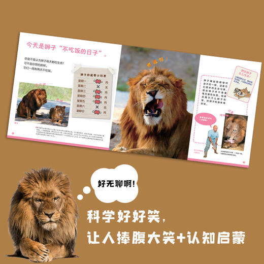 好好科学 好看好玩好吃好笑 商品图7