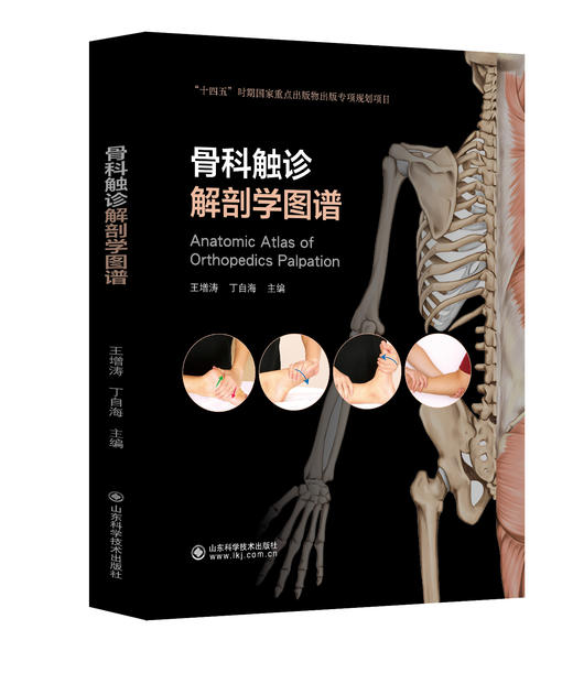 骨科触诊解剖学图谱  主编  王增涛 丁自海  山科出版 商品图0