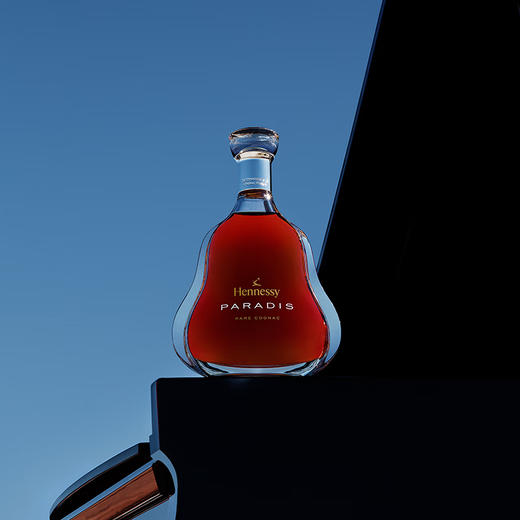 轩尼诗（Hennessy） 百乐廷 干邑白兰地 法国进口洋酒 700ml 商品图2
