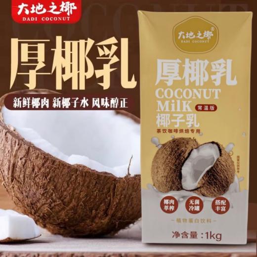 大地之椰厚椰乳 奶茶咖啡生椰拿铁椰汁生打椰奶椰浆专用整箱商用1L 商品图0