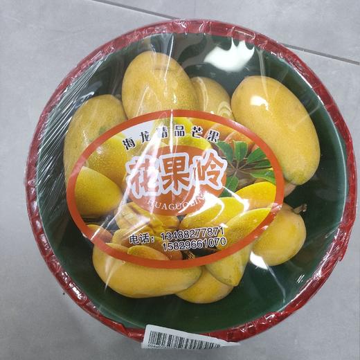 台芒海南/盆 商品图0