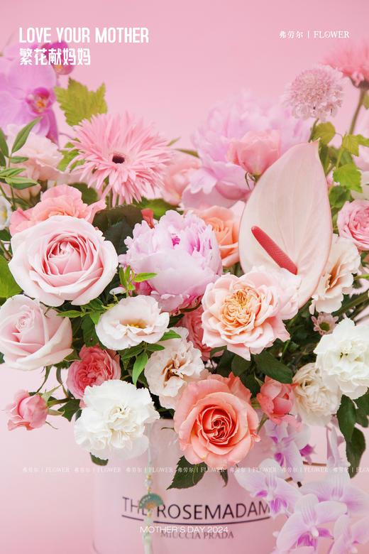 【无尽温柔】 商品图1