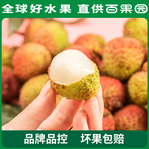 百果园 妃子笑2.5斤家庭装（单果重＞18g） 商品图2