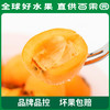 百果园 四川枇杷（特大）3斤彩箱装 商品缩略图3