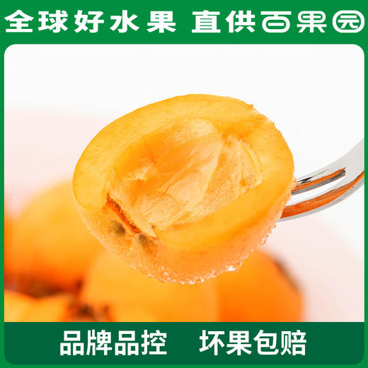 百果园 四川枇杷（特大）3斤彩箱装 商品图3