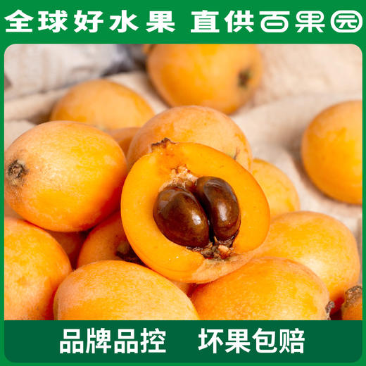 百果园 四川枇杷（特大）3斤彩箱装 商品图1