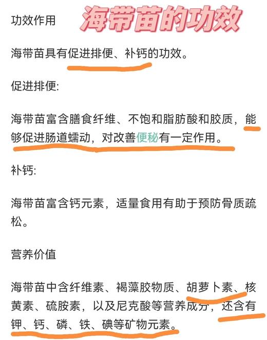 特级海带嫩苗🍃每一口都能感受到来自海洋清新自然的美味~ 商品图4