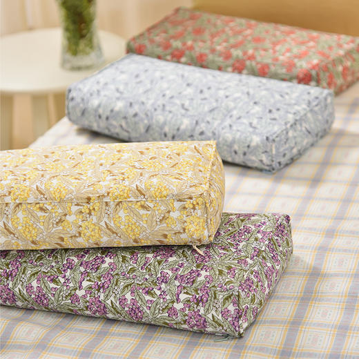 浆果系列长方枕旅行便携小成人枕纯荞麦壳 商品图0