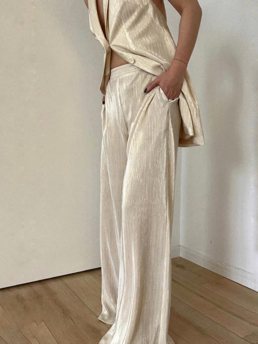 CG｜New York wide pants [风琴褶阔腿裤] 商品图0