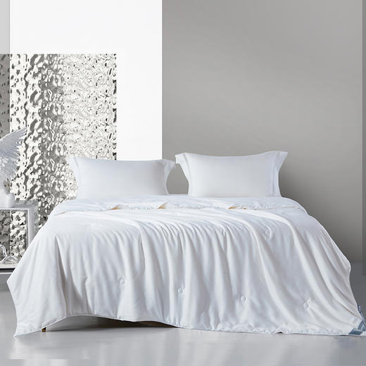 梦洁 莫代尔提花纯蚕丝四季被：功勋 商品图0