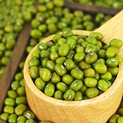 通山衣家绿豆1kg/袋 商品图3