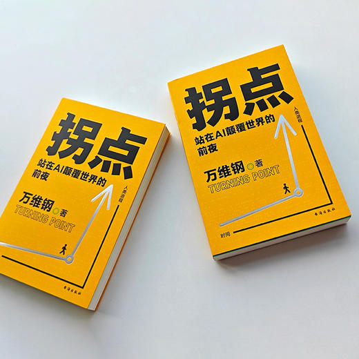 拐点：站在AI颠覆世界的前夜(万维钢 著; 得到图书 出品) 商品图3