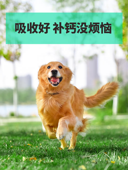 小宠优能钙 关节补钙 商品图5