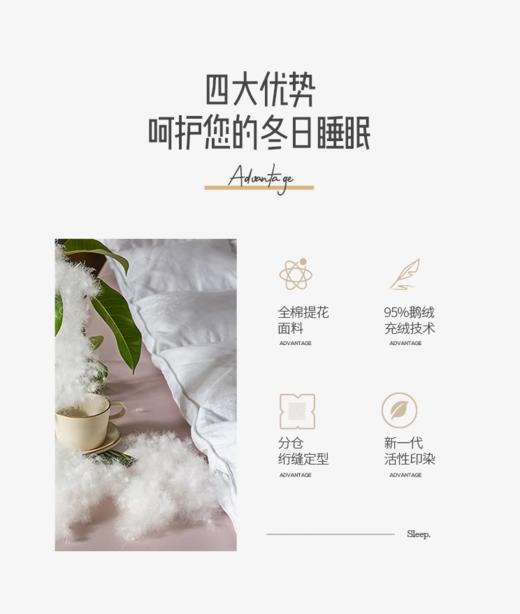 星级酒店羽绒被95白鹅绒鹅绒被被子被芯春秋被四季被冬被 商品图3