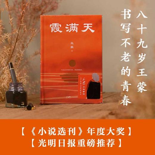 霞满天 （王蒙全新小说作品，被誉为“短篇红楼梦）(王蒙) 商品图1