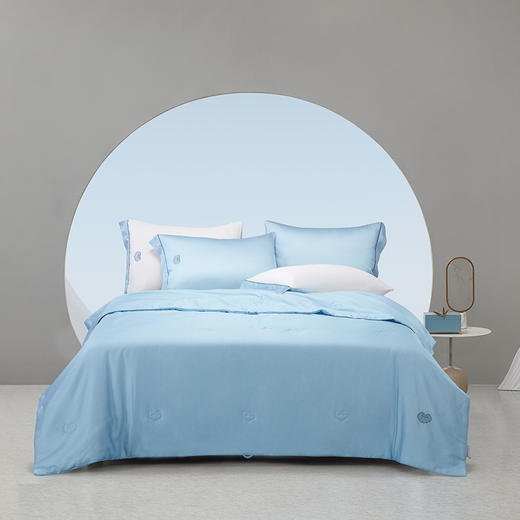 梦洁 天丝棉冰雪莲夏被：钰如意（西子蓝） 商品图0