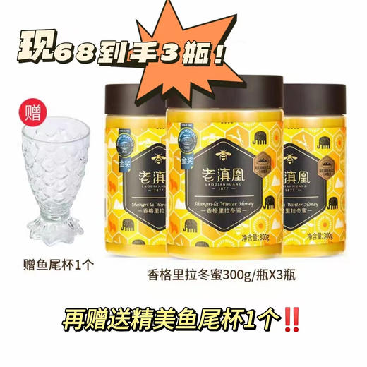 【参情蜜语】老滇凰云南香格里拉自然成熟冬蜜300g/老滇凰玉兰雪山雪蜜300g/老滇凰特级长白山鲜参蜜片45g/长白山干参（4-5年） 商品图3