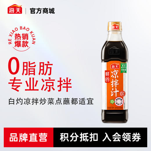 海天鲜的凉拌汁500mL夏日凉拌爽口快手菜一汁成菜 商品图0