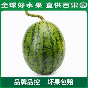 百果园 2k冰糖小西瓜彩箱装（净重 3-4斤）