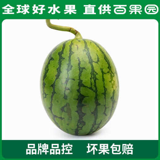 百果园 2k冰糖小西瓜彩箱装（净重 4-5斤） 商品图0