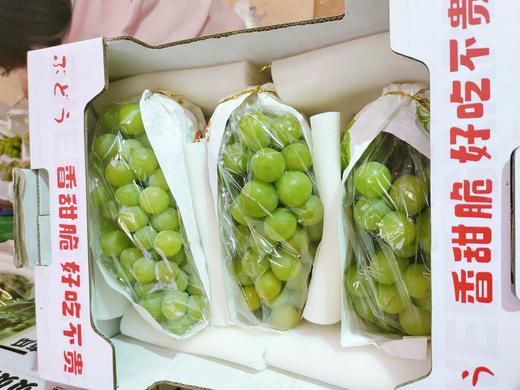 活动晴王礼盒 商品图2