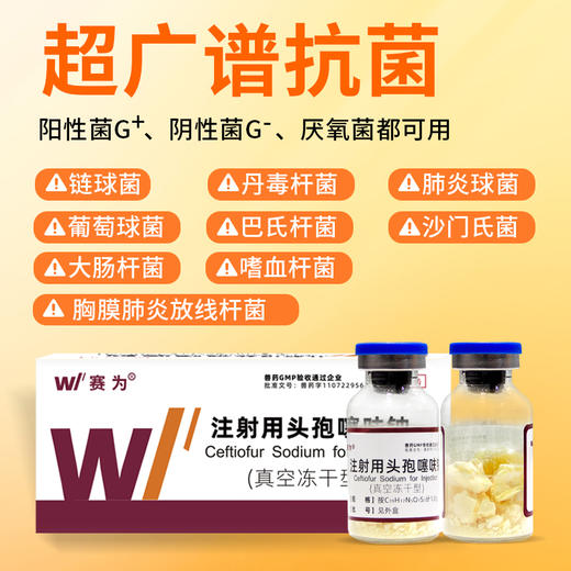 头孢噻呋钠注射兽用1g速溶真空冻干粉母猪牛羊呼吸道消炎兽药正品 商品图6