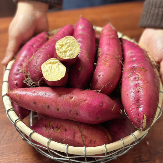 海南【桥头地瓜】粉糯香甜 细腻无丝 富硒珍品 沙土种植 现挖现发！ 商品图2