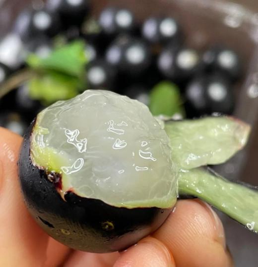 嘉宝果 商品图0