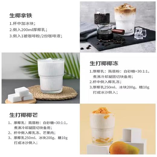 大地之椰厚椰乳 奶茶咖啡生椰拿铁椰汁生打椰奶椰浆专用整箱商用1L 商品图2