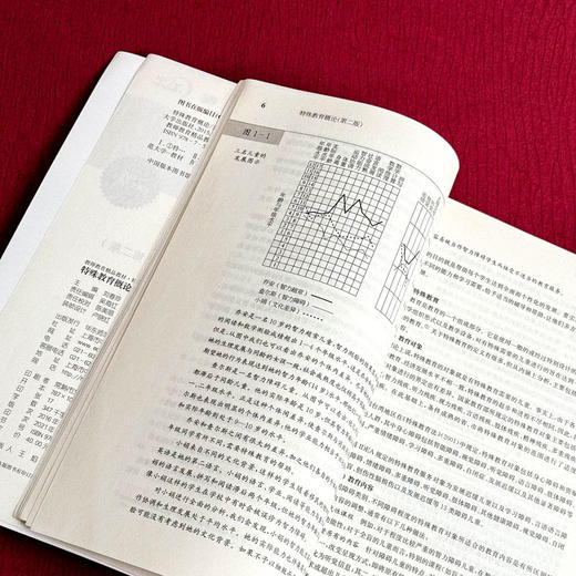 特殊教育概论 第二版 教师教育精品教材 商品图8