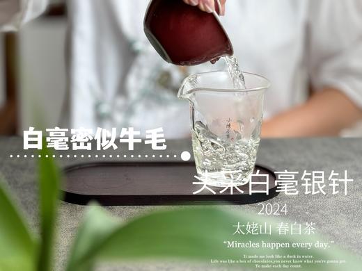 【2024春茶来了】2024头采白毫银针，鲜、嫩、爽、滑，怎一个“嫩”字了得？ 商品图10