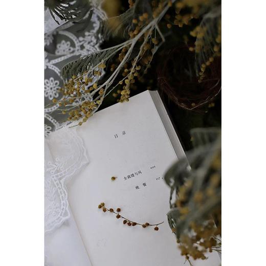 女裁缝与风（阿根廷）塞萨尔·艾拉 著 商品图6