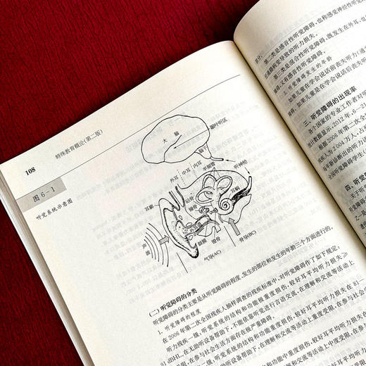 特殊教育概论 第二版 教师教育精品教材 商品图11