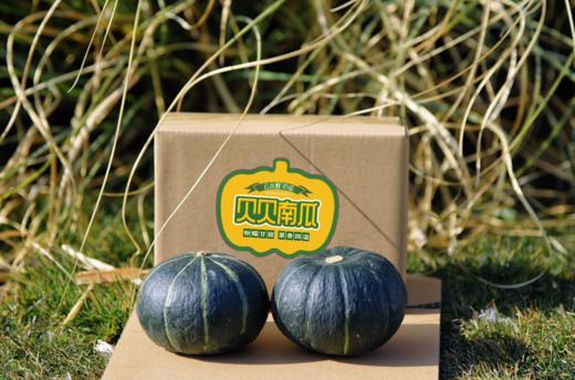 云南高原贝贝南瓜 商品图4