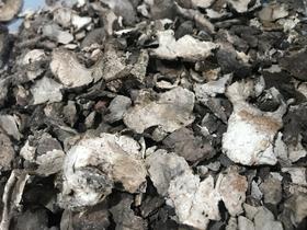 仙蒙 云南 茯苓皮  1kg一份