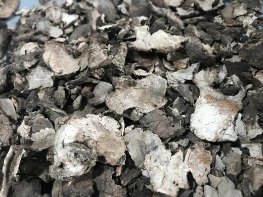 仙蒙 云南 茯苓皮  1kg一份 商品图0