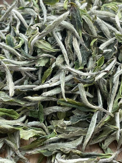 茶小懂2024私房白牡丹明前头采350G 商品图0