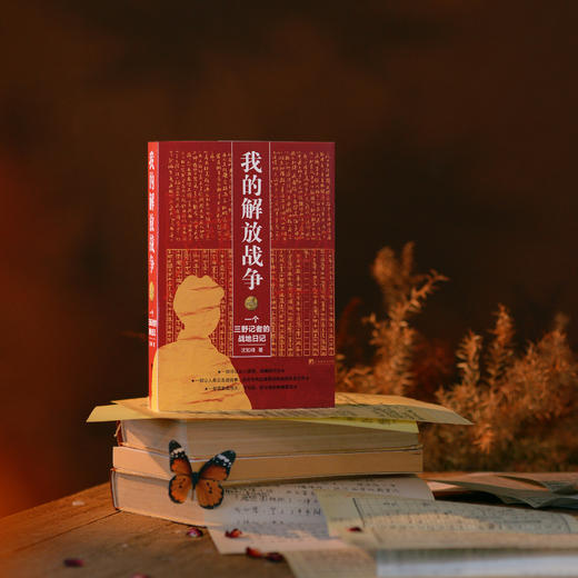我的解放战争 ：一个三野记者的战地日记 商品图0